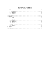 湖南锡矿山初步财务预测 040817