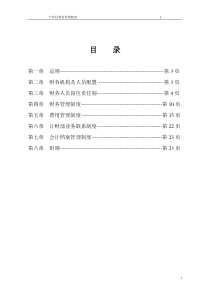 国有公司财务管理制度(模板)