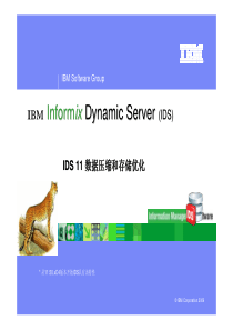 IDS 11 数据压缩和存储优化