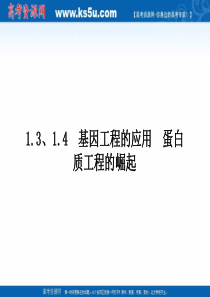 2011高三生物一轮复习精品课件：选修3 1.3、1.4基因工程的应用蛋白质工程的崛起