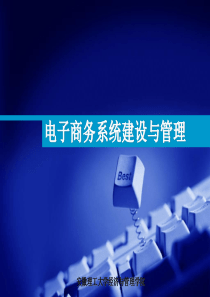 第06章 电子商务系统的实施