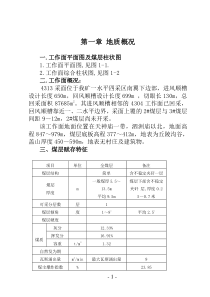 炮采放顶煤回采作业规程(H)