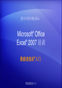 excel2007数据透视表教程(张)