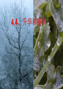 4.4升华和凝华(沪粤版)