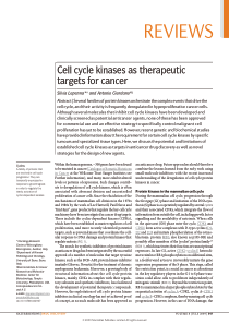 2009 Nature Review Drug Discov.  Cell cycle kinase