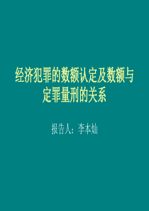 经济犯罪的数额认定报告