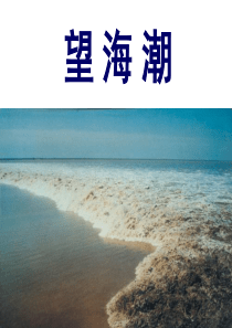 柳永《望海潮》公开课优秀课件