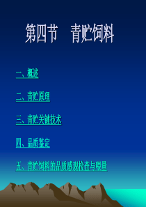 第四节  青贮饲料课件..