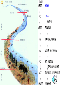 3.3达尔文与他的“进化论”