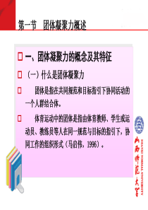 第十二章运动中的团体凝聚力