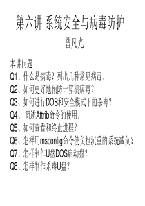 第6讲 系统安全与病毒防护10-11