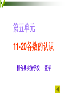 11-20各数的认识__单元复习