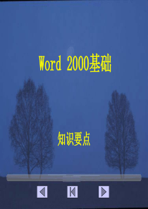 word2000课件