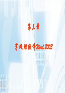 Word2003