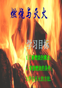 鲁教版九年级化学《燃烧与灭火》课件(50张ppt)