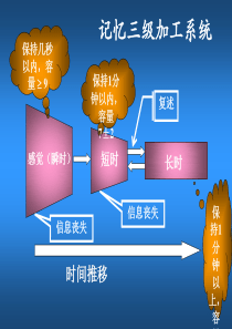 感觉记忆实验