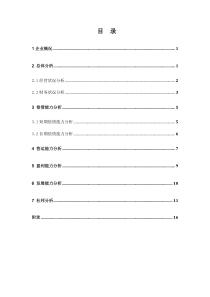 财务分析报告(样例)