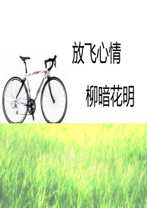 放飞心情-心态培训