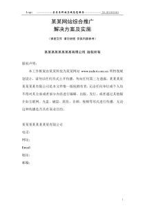 公司网站综合推广解决方案及实施