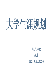 大学生涯规划环艺1002 吕琪