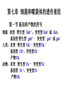 7 A细菌和噬菌体的遗传和重组