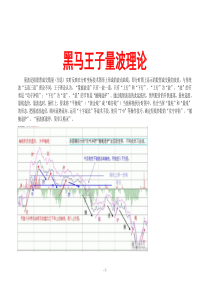 黑马王子量波理论..