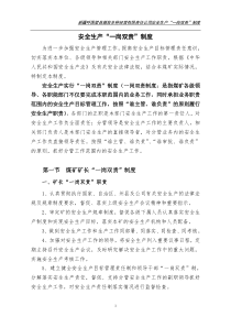 煤矿一岗双责制度修2