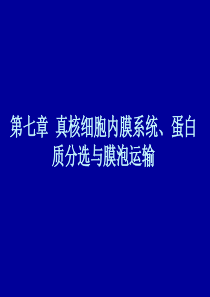 第七章 内膜系统1