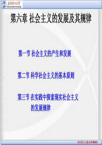 马克思主义基本原理概论第六章：社会主义的发展及其规律