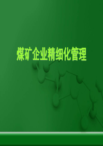 煤矿企业精细化管理