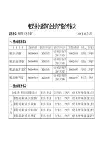 煤矿企业资产整合申报表