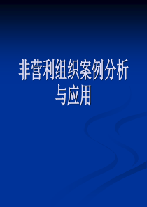 妇联中国非营利组织国内发展3案例分析(精)