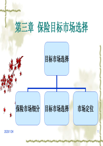 保险目标市场