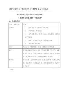 煤矿关键岗位手指口述大全（DOC54页）