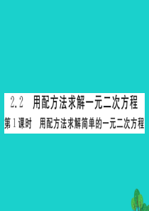 九年级数学上册-2.2 第1课时 用配方法求解简单的一元二次方程习题课件 (新版)北师大版