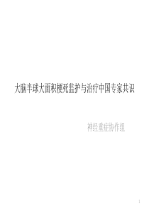 大脑半球大面积梗死监护与治疗中国专家共识