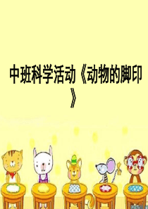 中班科学动物的脚印