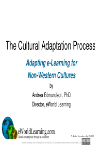 The Cultural Adaptation Process