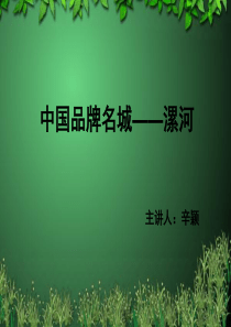 漯河文化