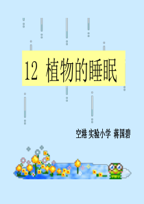 12《课植物的睡眠》课件PPT