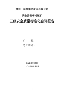 煤矿安全质量标准化自评报告(苦李树煤矿)正文