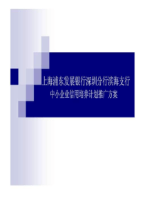 上海浦东发展银行深圳分行滨海支行中小企业信用培养计划推广方案