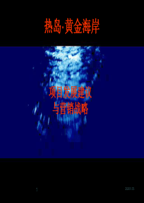 深圳热岛黄金海岸项目发展建议与营销战略90PPT-11M-2007年