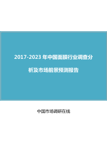 中国面膜行业调查分析报告