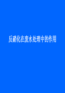 第四讲-缺氧(反硝化)反应