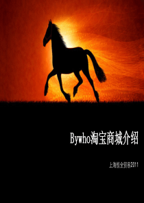 BYWHO淘宝商城PPT