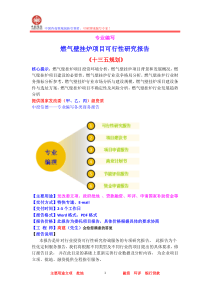 燃气壁挂炉项目可行性研究报告