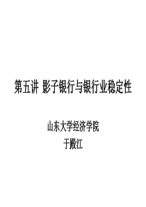 影子银行与银行业稳定性