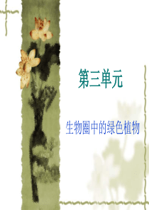 第三单元生物圈中的绿色植物复习课件