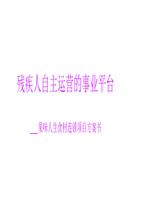 残联合作方案